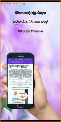 ဗိုင္ဘာလမ္းၫႊန္ - VB Guide Myanmar screenshot