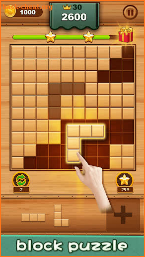 100 Block Puzzle—Woody Classic screenshot