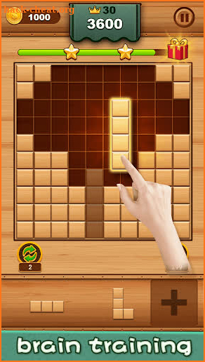 100 Block Puzzle—Woody Classic screenshot