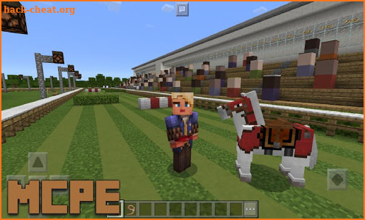 2 Players Horse Riding Addon for MCPE screenshot