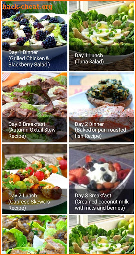2019 keto diet plan -30 Days Plan recipes screenshot