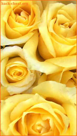 3201 roses & flowers image GIF screenshot