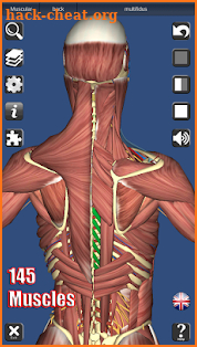 3D Anatomy screenshot