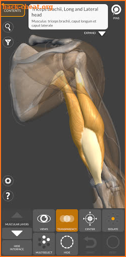 3D Anatomy for the Artist screenshot
