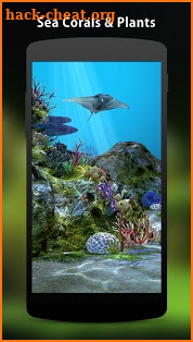 3D Aquarium Live Wallpaper HD screenshot