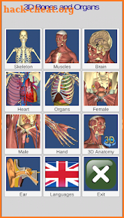 3D Bones and Organs (Anatomy) screenshot