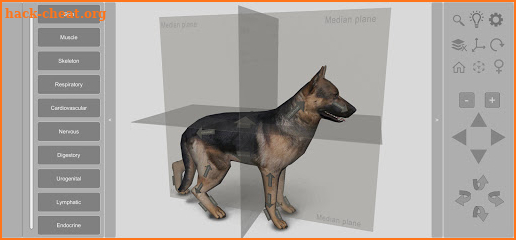 3D Dog Anatomy screenshot