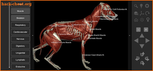 3D Dog Anatomy screenshot