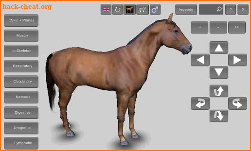 3D Horse Anatomy Software screenshot