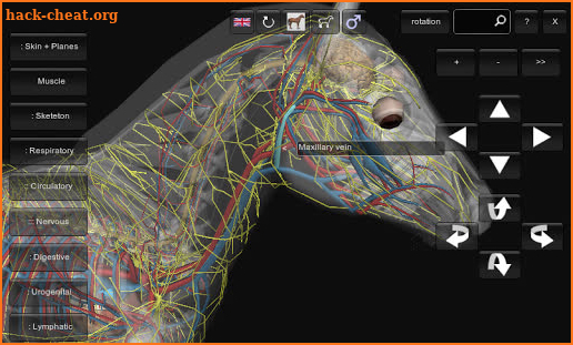 3D Horse Anatomy Software screenshot