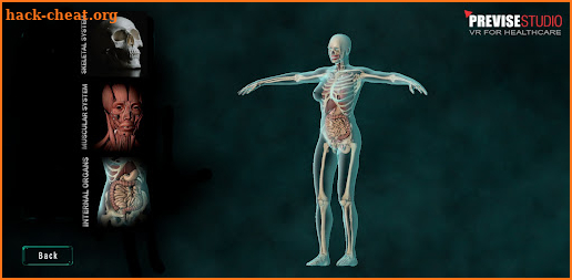 3D Human Anatomy screenshot