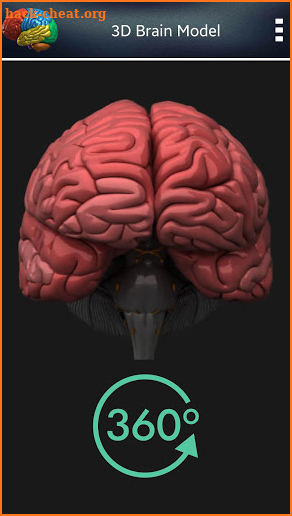 3D Human Brain + screenshot