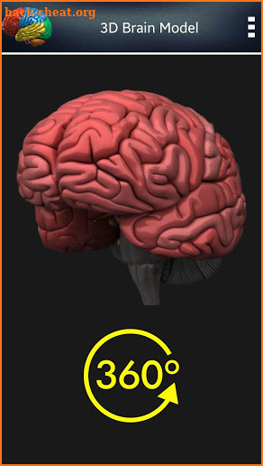 3D Human Brain + screenshot