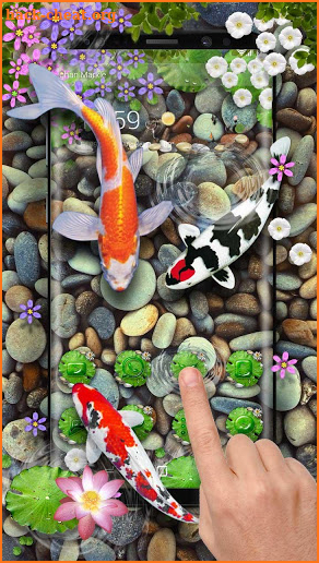 3D Koi Fish Theme and Animated Ripple Effect screenshot