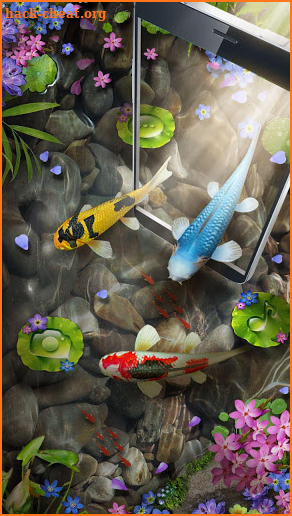 3D Koi Fish Theme & Lively 3D Ripple Effect screenshot