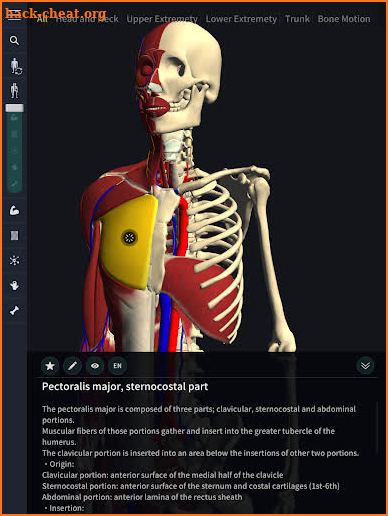 3D Motion Human Anatomy - teamLabBody screenshot