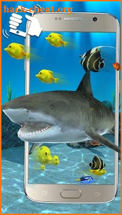 3D Ocean Shark Theme(shake&get effect) screenshot