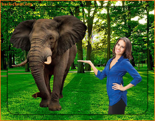 3D Wildlife Animal Photo Editor : Wild HD Frames screenshot