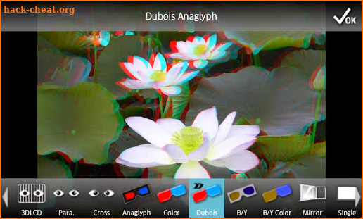 3DSteroid screenshot