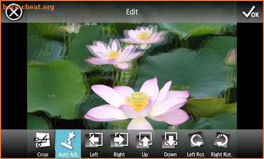 3DSteroid Pro screenshot
