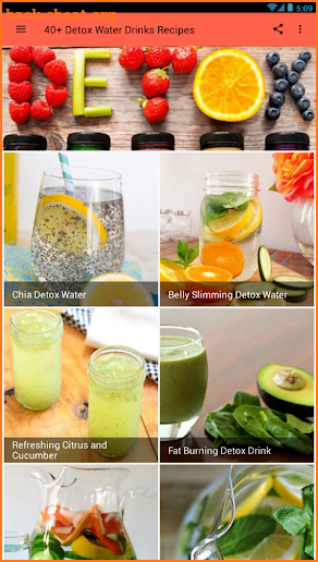 40+ Detox Water Drinks Recipes screenshot