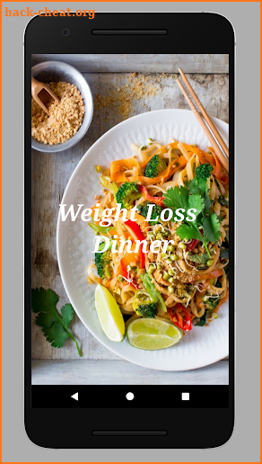40+ Healthy Dinner Recipes for Weight Loss Free screenshot