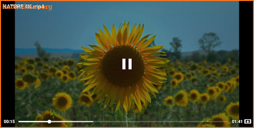 4K Video Player screenshot