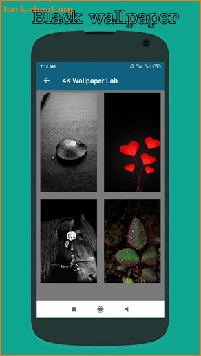 4K Wallpapers Lab screenshot