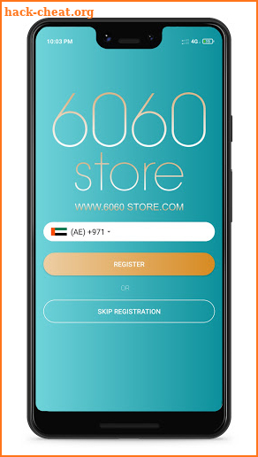 6060 Store screenshot