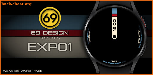 [69D] EXP01 hybrid watch face screenshot