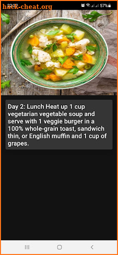 7-Day Diet screenshot