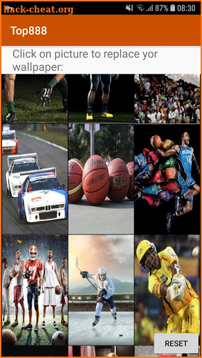 888 Top Sport Themes screenshot