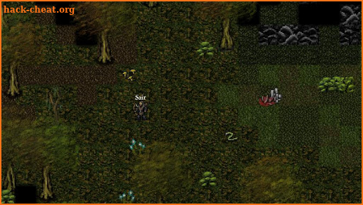 9th Dawn RPG screenshot