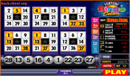 A Fortune Bingo Deluxe screenshot