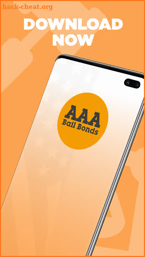 AAA Bail Bonds screenshot