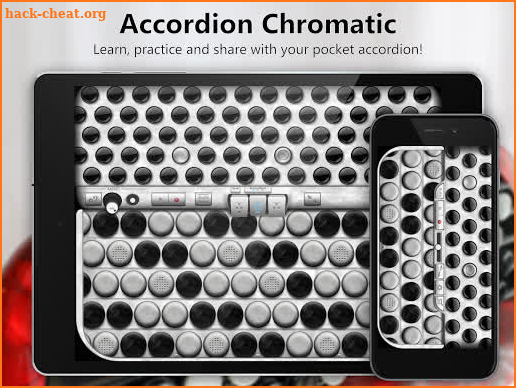 Accordion Chromatic Button screenshot