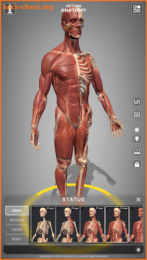 Action Anatomy - 3D anatomy pose app for artists screenshot