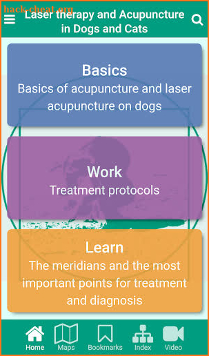 Acupuncture and laser therapy in dogs and cats screenshot