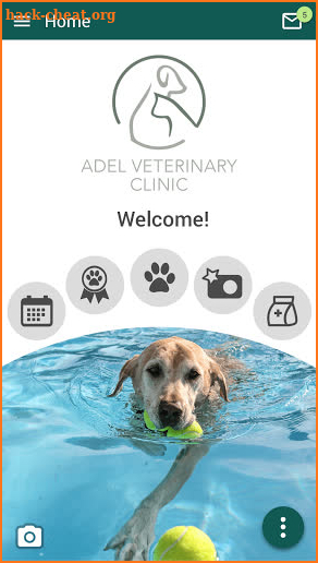 Adel Veterinary Clinic screenshot