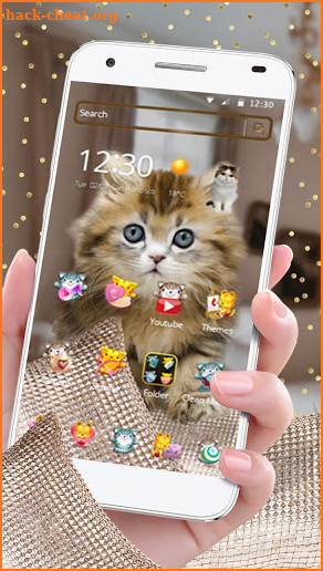 Adorable kitten theme screenshot