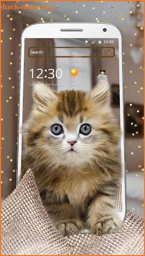 Adorable kitten theme screenshot