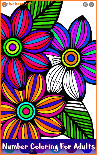 Adult Color by Number Book - Paint Flowers Pages screenshot