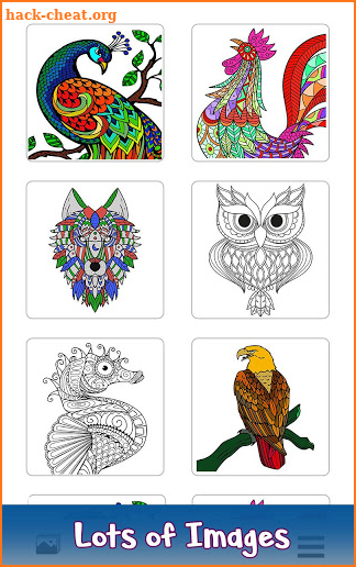 Adult Coloring by Number Book: Paint Animals Pages screenshot