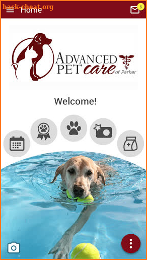Advanced Pet Care of Parker screenshot