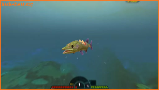 Advice fish feed and grow! screenshot