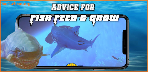 Advice For Fish Feed and Grow screenshot