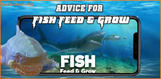 Advice For Fish Feed and Grow screenshot