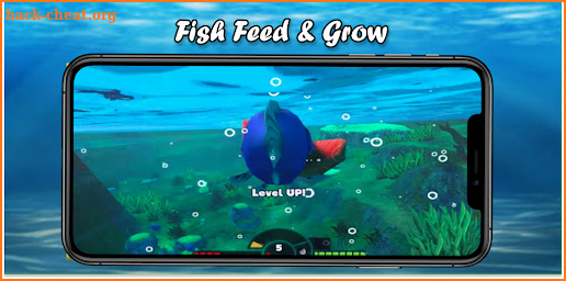 Advices Fish Feed & Grow Tips screenshot