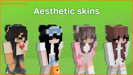 Aesthetic Skins screenshot