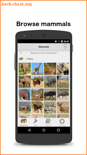 African Safariguide screenshot